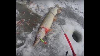 Ишимский рыболовный клуб в контакте