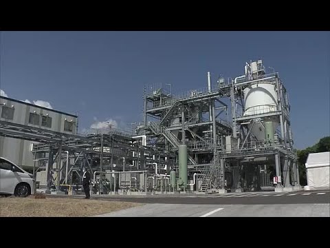 園芸 緑の廃棄物とバイオマスの輸出