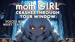 Moth Girl Accidentally Crashes Through Your Window [monster girl] [kind of ditzy] [wholesome]