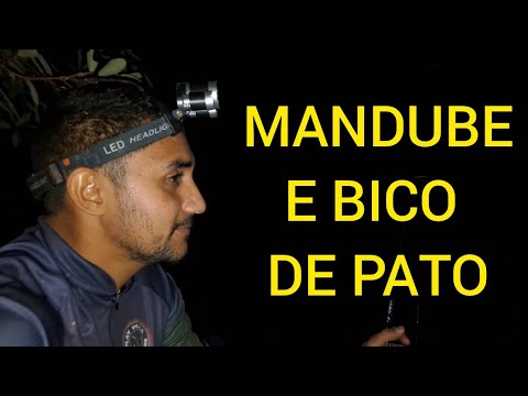 PRIMEIRA NOITE DE ACAMPAMENTO, E PESCARIA NOTURNA  COM UMA TURMA ANIMADA. 