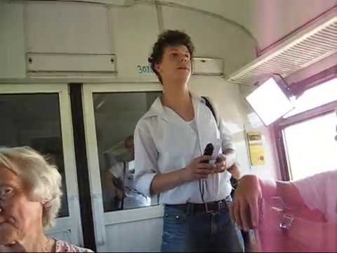 В электричке Н-Новгород - Гороховец. 2012 г. Горохов