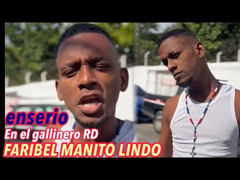 EN EL GALLINERO RD. ENTREVISTA A FARIBEL MANITO LINDO #shorts #short #shortsfeed #viral #viralvideo