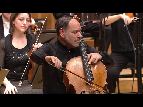 Brahms Double Concerto, Op.102 - Gary Hoffman, Julia Pusker