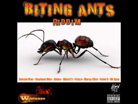 Ward 21 - Goodaz - [Raw](Biting Ants Riddim)