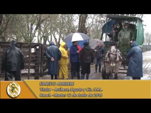 12-06-18 Nota Ernesto Arribere - Titular - Arribere, Ugarte y Cía. S.R.L. - Rauch