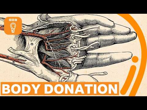你會捐贈大體給科學研究嗎？ (Would you donate your body to science? | BBC Ideas)