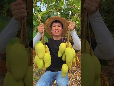 Enjoy Beautiful Nature Life🍎 #424