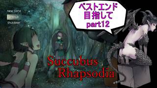 【サキュバスラプソディア】ベストエンド目指してpart12