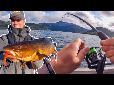UNGLAUBLICH! | ... das erlebt man NICHT alle Tage! | Angeln mit Gummifisch in Norwegen