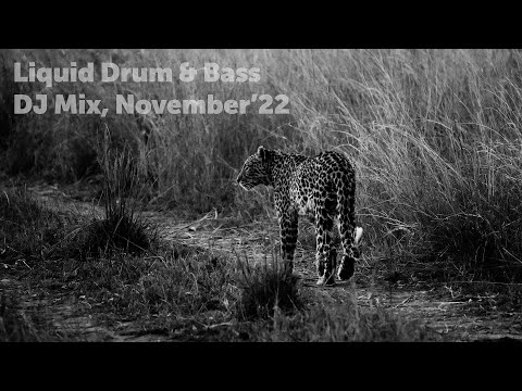 Liquid Drum & Bass DJ Mix, November'22