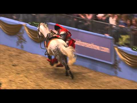 The Ukrainian Cossacks