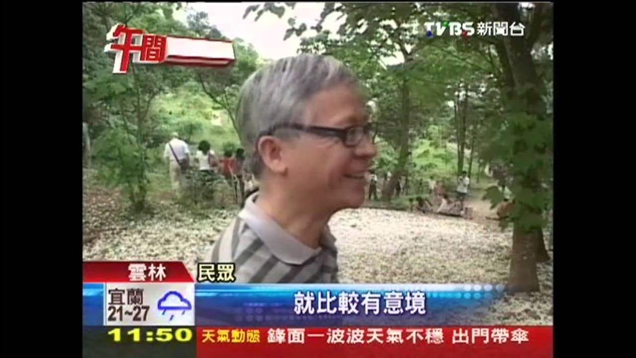 4月「飄雪」！油桐花綻放　落地似雪