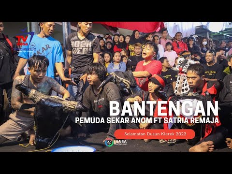 Bantengan Pemuda Sekar Anom ft Satria Remaja | Selamatan Dusun Klerek 2023
