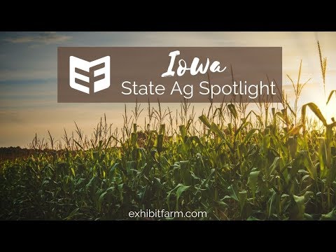 State Ag Spotlight: Iowa Ag Facts