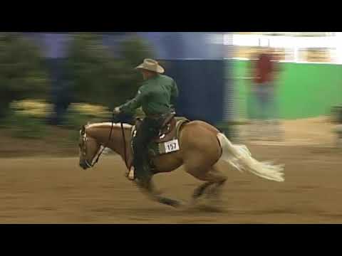 shawn flarida wimpys little chic nrbc champions