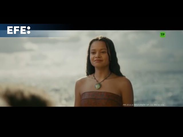 Video preview