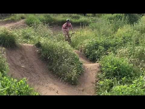 C.R.E.A.M. - steezydealerrs