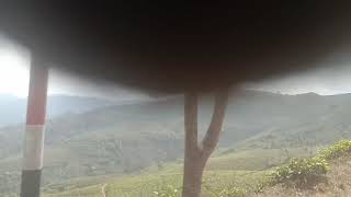 Download lagu Perjalanan Dari Bandung ke Garut Melalui Pantai Ranca Buaya mp3