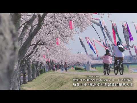 福島，時光悠然。尋櫻之旅