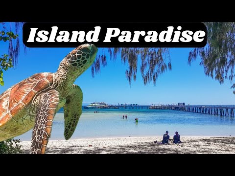 Green Island Day trip from Cairns | Great Barrier Reef Snorkelling Tour, North Queensland