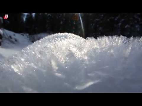 danger pattern (dp) 8 - surface hoar blanketed with snow