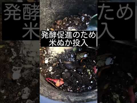 バルコニーからの生ゴミ堆肥化 アパートでの堆肥化 街中での堆肥化