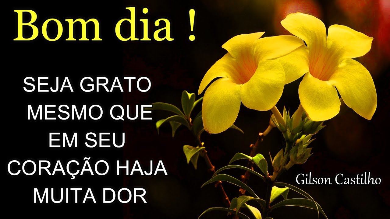 Mensagem de Bom Dia / Valorize a Vida Enquanto Há Vida !