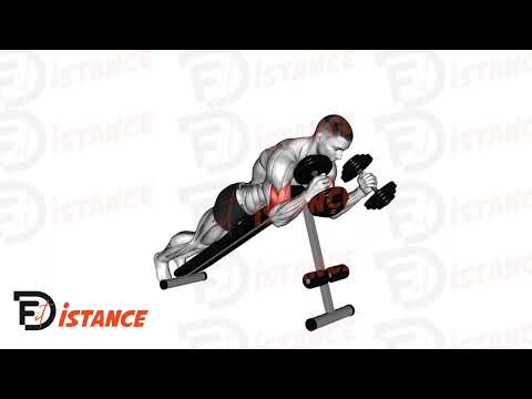 Exercice Curls Spider prise marteau