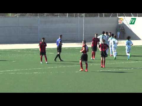 CCFTV: Resumen Infantil A CCF - Séneca