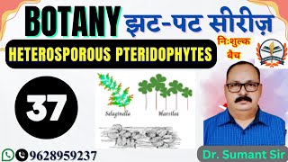 tgt biology | pgt biology | lt grade biology exam date | Biology - Heterosporous Pteridophytes