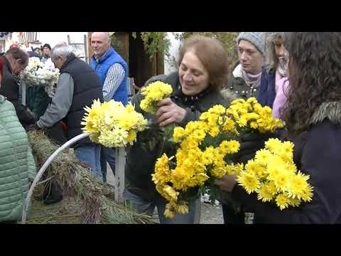 Márton-napi Búcsúfa állítás 2021