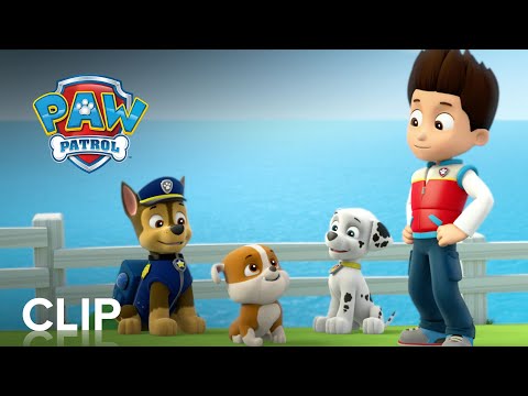 PAW PATROL: RUBBLE ON THE DOUBLE |  "Stuck in a Tree" Clip | Paramount Movies