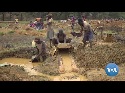 Alleged Gold Smugglers Welcome Zimbabwe’s ‘Gold Mafia’ Probe