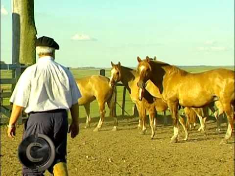 Matéria Estância Santa Cecília 02 MPEG 4