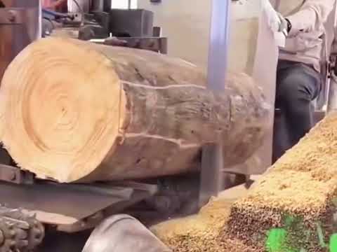 Wood Cutting Process – Unbelievable Precision and Power!