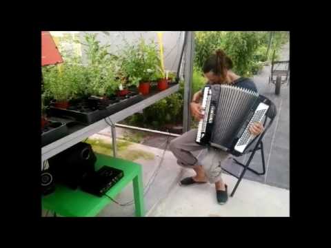 Music of the Plants and Accordion at Pamies