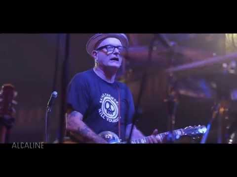 Alcaline, le Concert : Teaser Sanseverino au Trianon de Paris