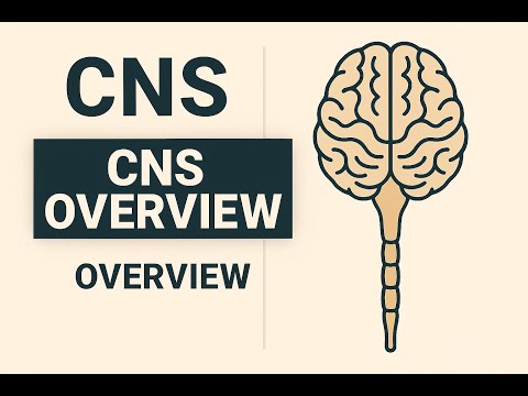 CNS: Unlocking the Master Behind your Mind