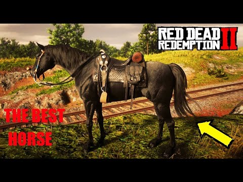 Red Dead Redemption 2 - Como ter o lendário Puro Sangue Inglês NEGRO!