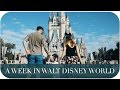 A WEEK IN WALT DISNEY WORLD | THE MICHALAKS | AD A WEEK IN WALT DISNEY WORLD | THE MICHALAKS | AD