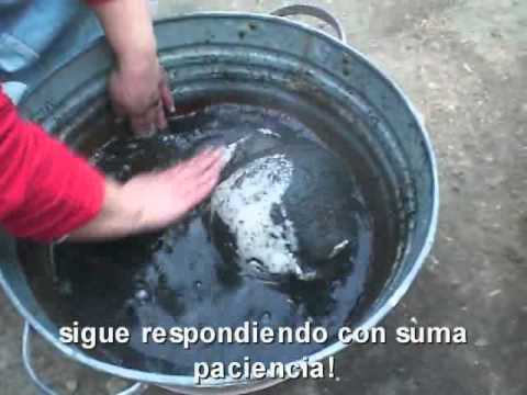 MUNDO DE PERLA - HORNEADA DE RAKU - HAKA VIKU RAKU -