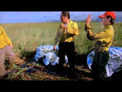 High Five FAIL that was felt across the nation