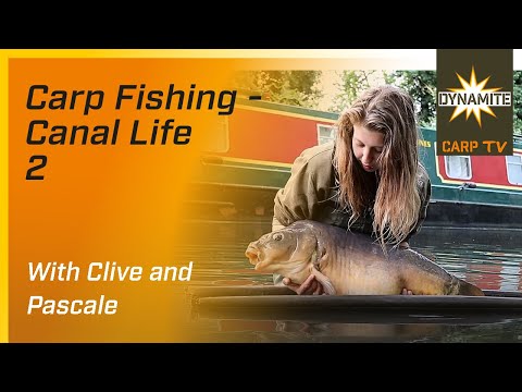 Carp Fishing - Our Session: Canal Life 2
