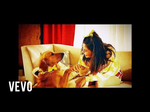 Marshmello ft. Bastille - Happier (Official Music Video) (Reverse)