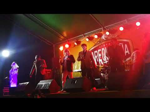 Tributo a la chicha - Elvis y su pasión sureña  contratos  959141448