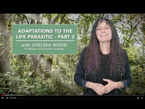 Adaptations to the life parasitic - Part 2