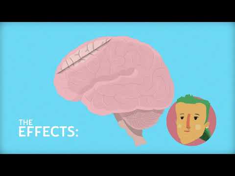 Cannabis and the Endocannabinoid System