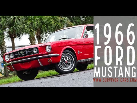 1966 Ford Mustang (CC-1531881) for sale in Palmetto, Florida