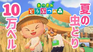 夏の夜、虫縛り🐝10万ベル集まるまで終われません！【あつまれどうぶつの森】【生配信】