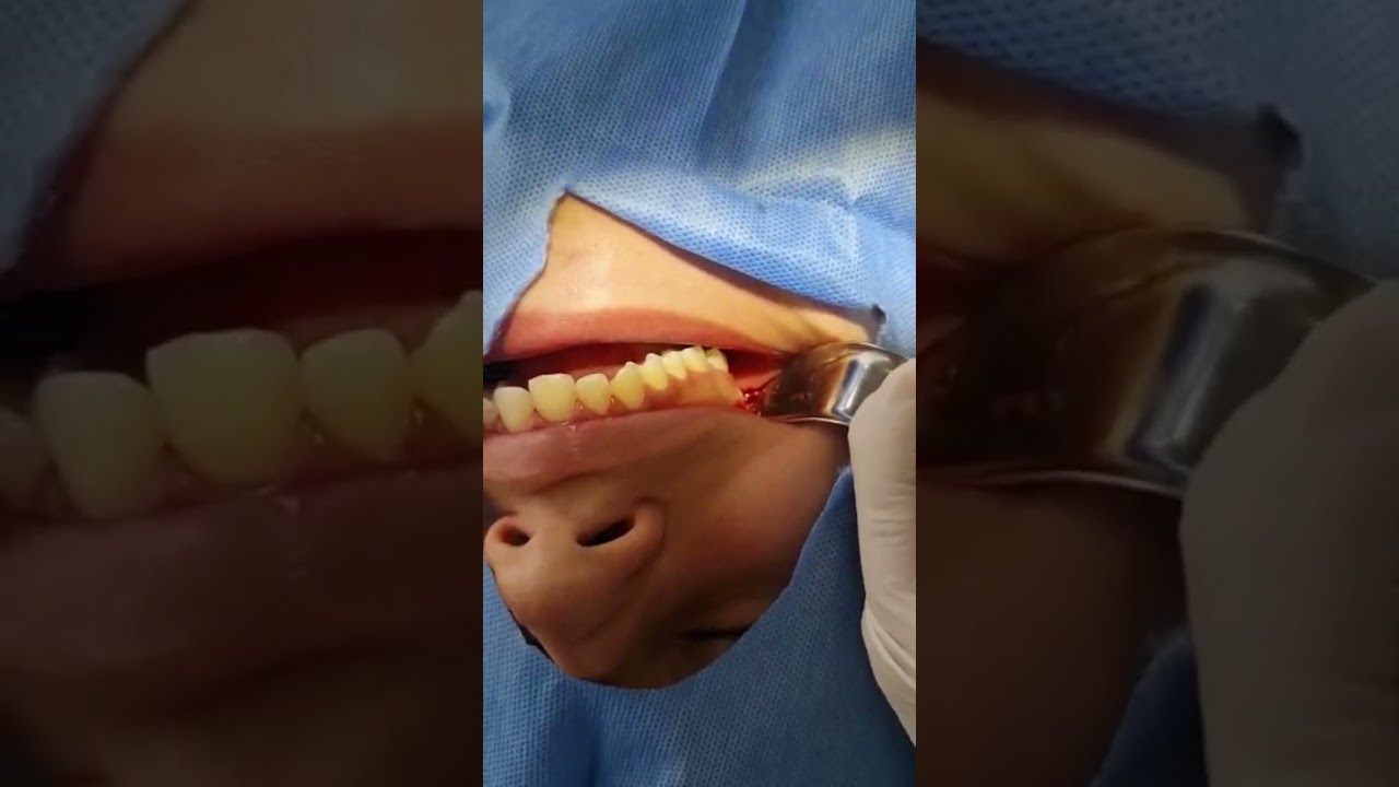 Luisa Fernanda Gomez Reyes-128